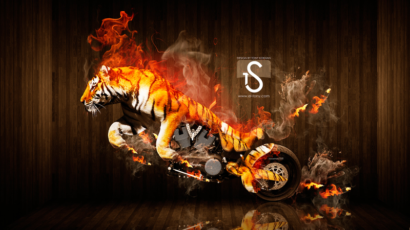 Illustration for article titled TIGER ALL THE THINGS!